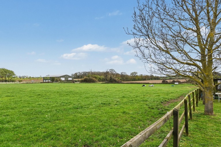 Images for Dallinghoo