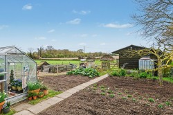 Images for Dallinghoo