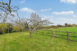 Images for Dallinghoo