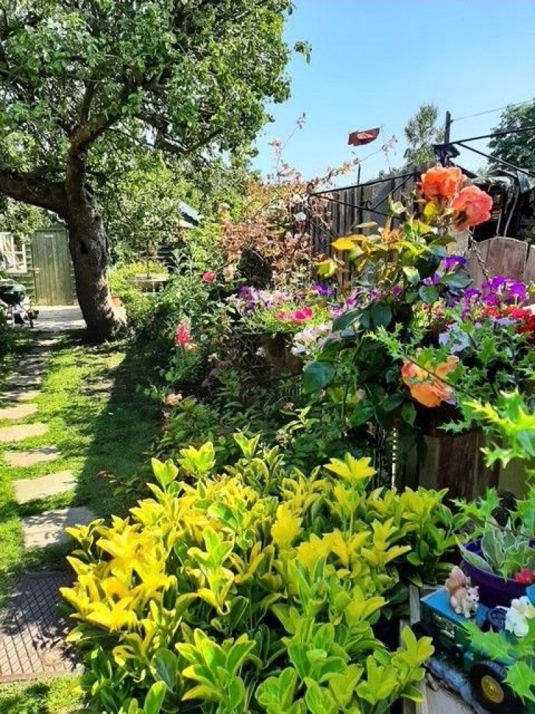 Images for Campsea Ashe, Nr Woodridge, Suffolk