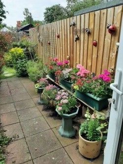 Images for Campsea Ashe, Nr Woodridge, Suffolk