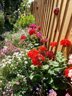 Images for Campsea Ashe, Nr Woodridge, Suffolk