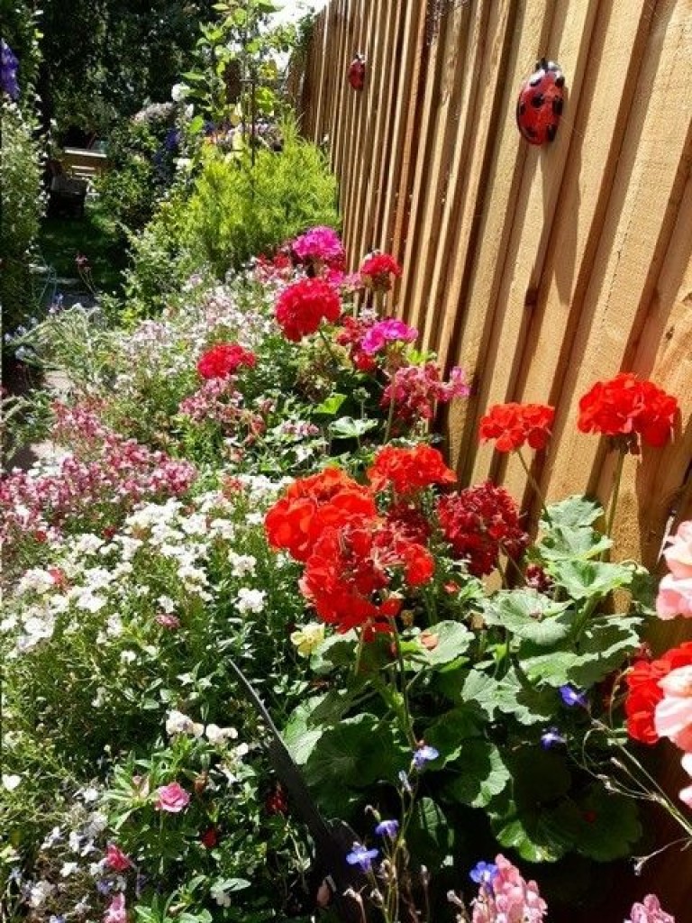 Images for Campsea Ashe, Nr Woodridge, Suffolk