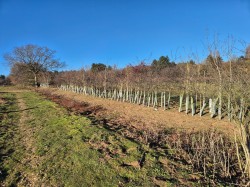 Images for Martlesham, Nr Woodbridge, Suffolk