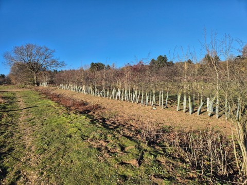 Click the photo for more details of Martlesham, Nr Woodbridge, Suffolk