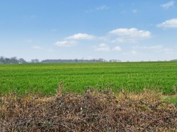 Images for Earl Soham, Nr Woodridge, Suffolk