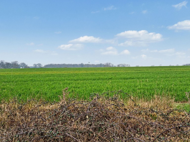 Images for Earl Soham, Nr Woodridge, Suffolk
