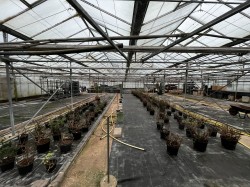 Images for Cow Green, Bacton, nr Stowmarket, Suffolk