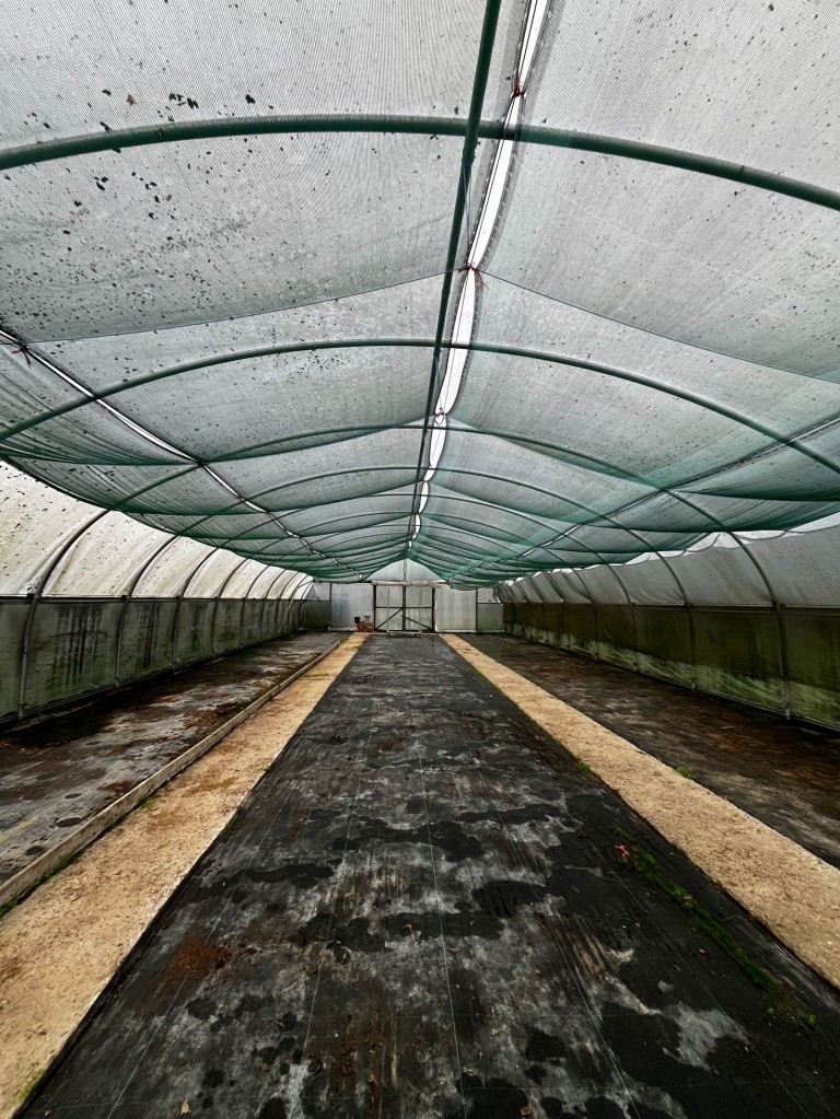 Images for Cow Green, Bacton, nr Stowmarket, Suffolk