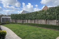 Images for Holly Way, Saxmundham