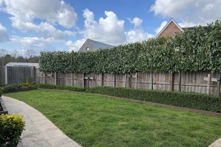 Images for Holly Way, Saxmundham