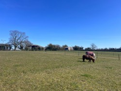 Images for Somersham, Nr Ipswich, Suffolk 