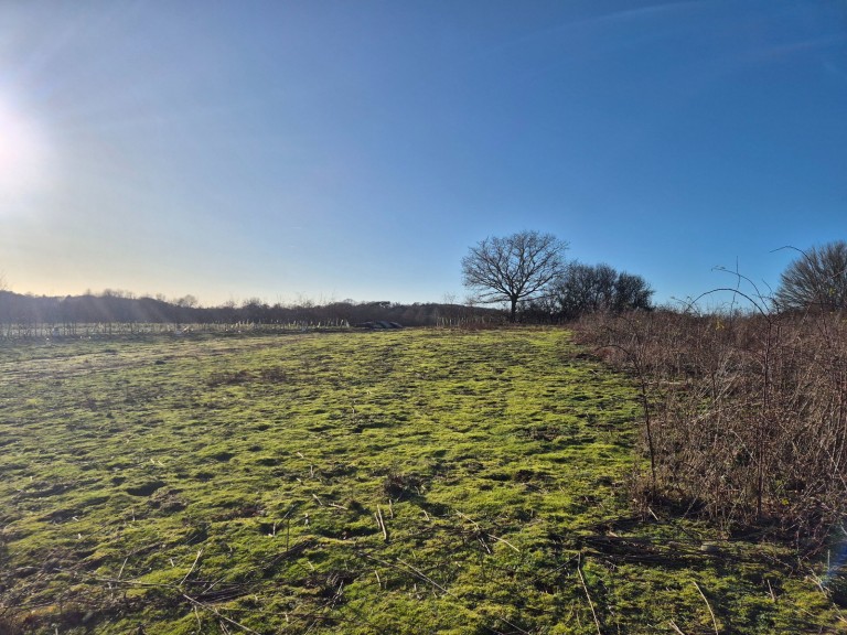 Images for Martlesham, Nr Woodbridge, Suffolk