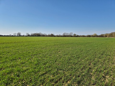 Click the photo for more details of Ashfield, Nr Debenham, Suffolk