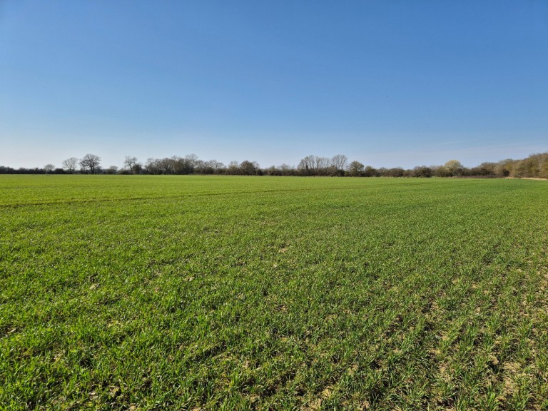 Images for Ashfield, Nr Debenham, Suffolk