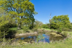 Images for Middleton, Suffolk