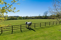 Images for Middleton, Suffolk
