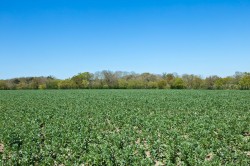 Images for Middleton, Suffolk