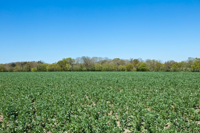 Images for Middleton, Suffolk