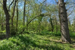 Images for Middleton, Suffolk