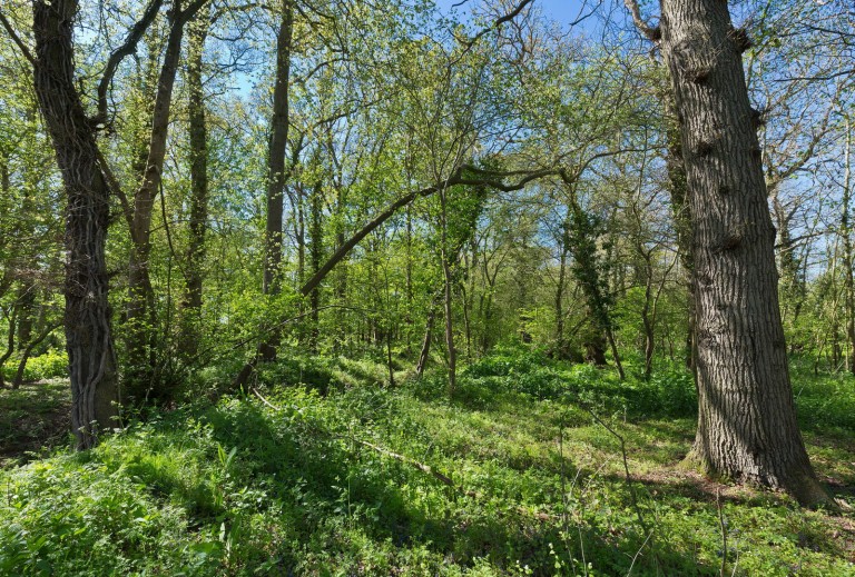 Images for Middleton, Suffolk