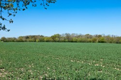 Images for Middleton, Suffolk