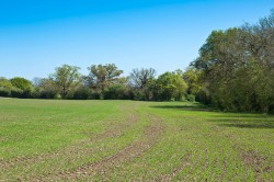 Images for Middleton, Suffolk