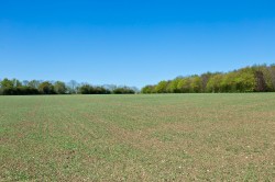 Images for Middleton, Suffolk