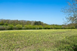 Images for Middleton, Suffolk