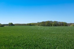 Images for Middleton, Suffolk