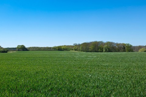 Middleton, Suffolk