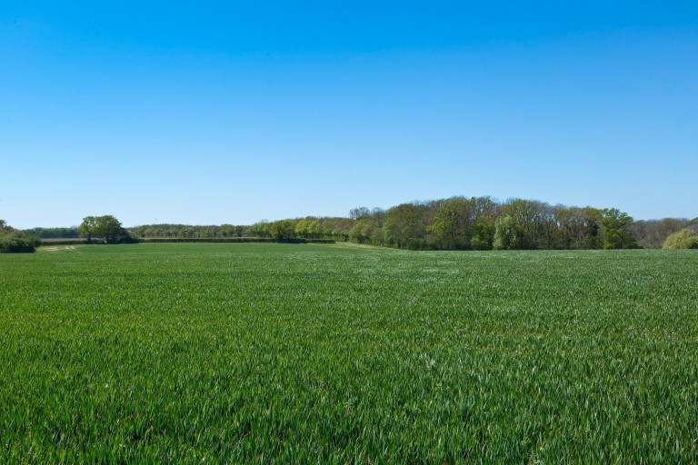 Images for Middleton, Suffolk