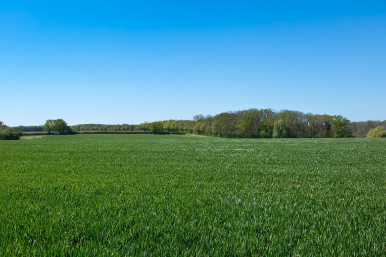 Click the photo for more details of Middleton, Suffolk