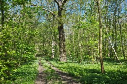 Images for Middleton, Suffolk