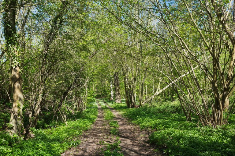 Images for Middleton, Suffolk