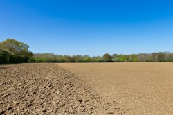 Images for Middleton, Suffolk