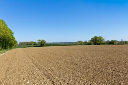 Images for Middleton, Suffolk