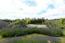 Images for Occold, Eye, Suffolk