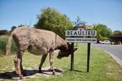 Images for Bucklers Hard Road, Beaulieu, Brockenhurst, SO42