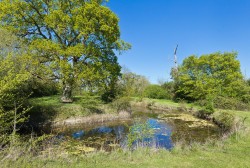 Images for Middleton, Nr Suffolk Heritage Coast