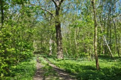 Images for Middleton, Nr Suffolk Heritage Coast
