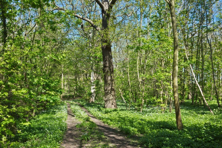 Images for Middleton, Nr Suffolk Heritage Coast