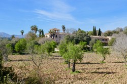 Images for Son Parot Estate, Santa Margalida, NE Mallorca