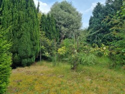 Images for Melton, Nr Woodbridge, Suffolk