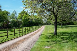 Images for Fritham, Lyndhurst, SO43