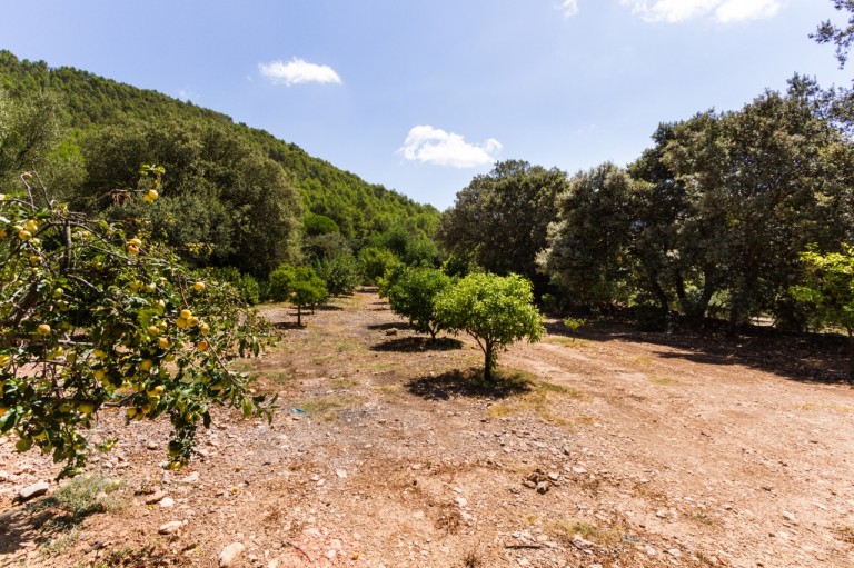 Images for NW Mallorca, Esporles Estate
