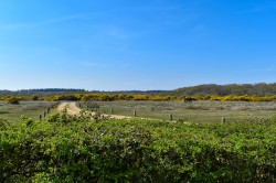 Images for Main Road, East Boldre, Brockenhurst, SO42