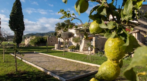 Click the photo for more details of Alaro Estate, Alaro, Northwest Mallorca