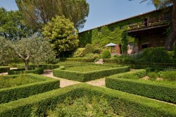 Images for Chianti, Chianti Classico Estate, Tuscany