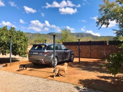 Images for Bunyola Finca, Son Muntaner, Bunyola, West Mallorca